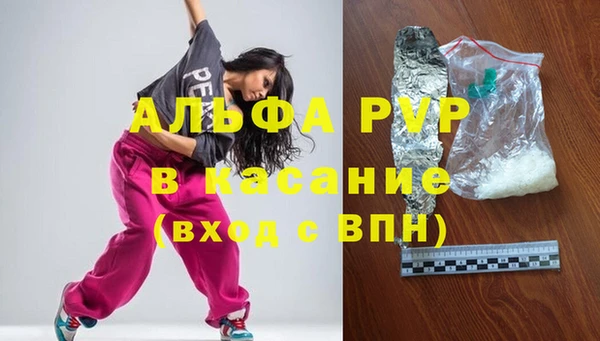 сатива Арсеньев