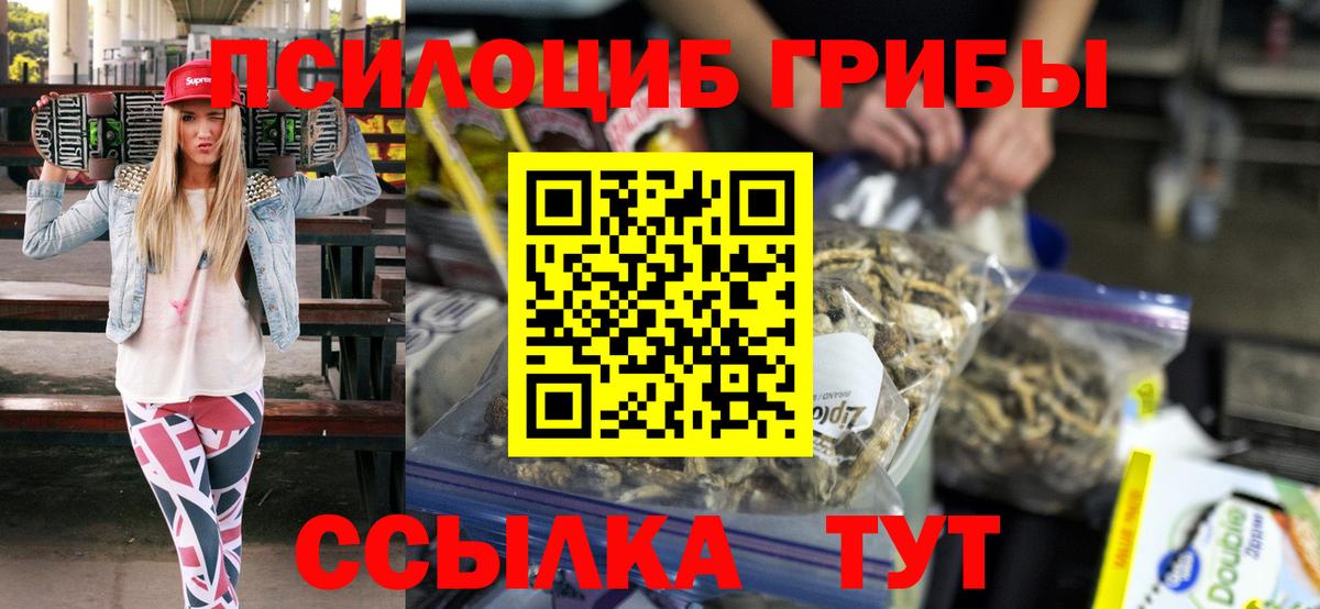 Галлюциногенные грибы Cubensis Балахна