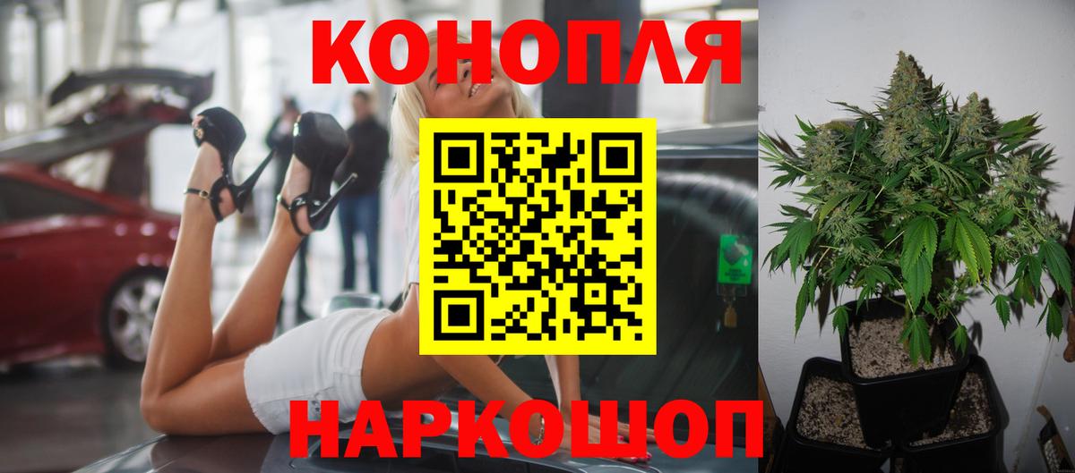 МАРИХУАНА планчик  Марихуана сатива  Балахна  МАРИХУАНА планчик 